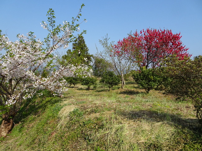 「山登りのすすめ」