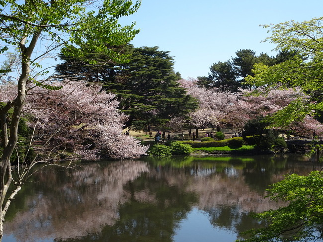 「合宿のすすめ」